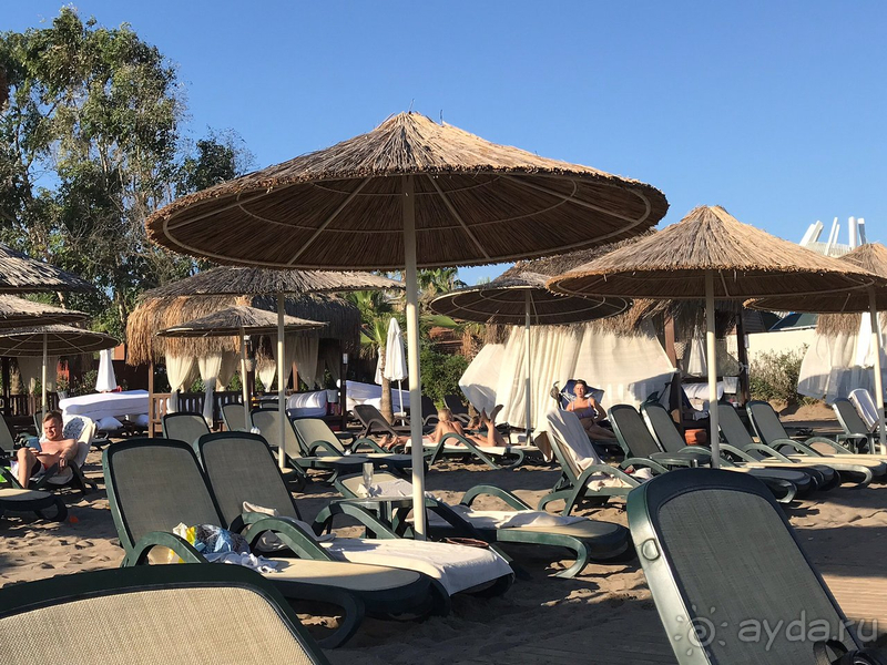 Мы дома, но Глория в нашем сердце!