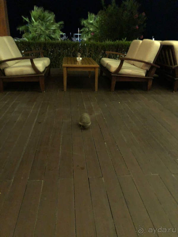 Нам понравилось!