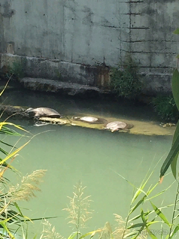 Хороший отдых в хорошем отеле.