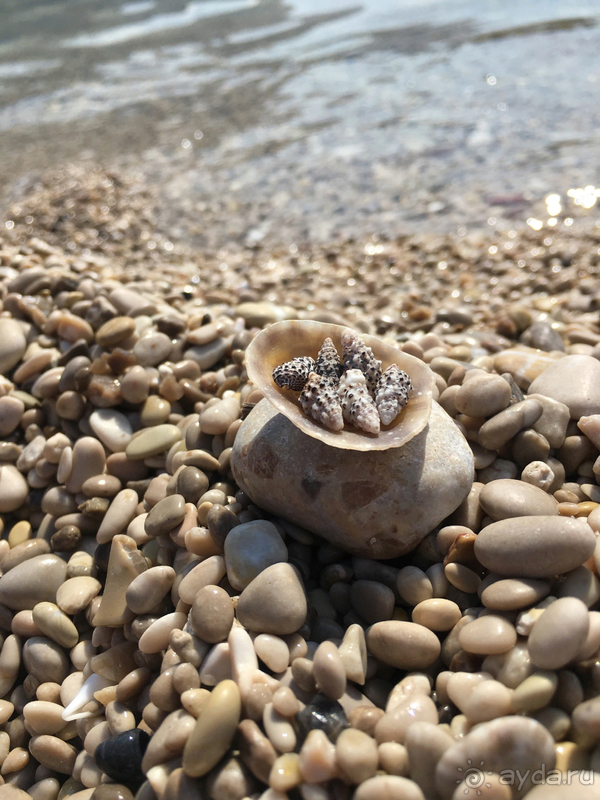 Бухта восхищения и уюта.