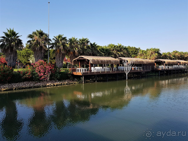 Хорошо, но не всё