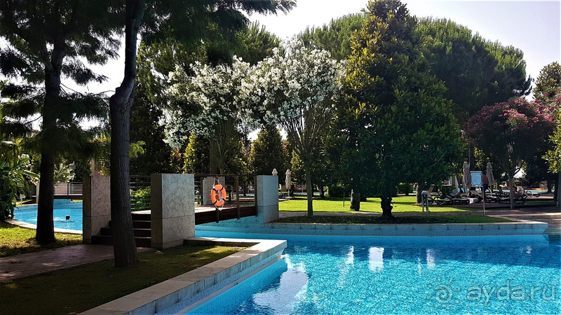 Хорошо, но не всё