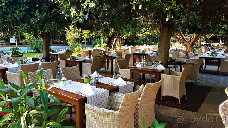 Хорошо, но не всё