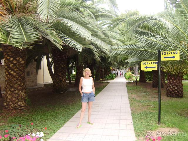 Территория