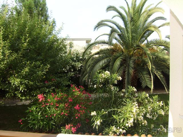 Вид с балкона