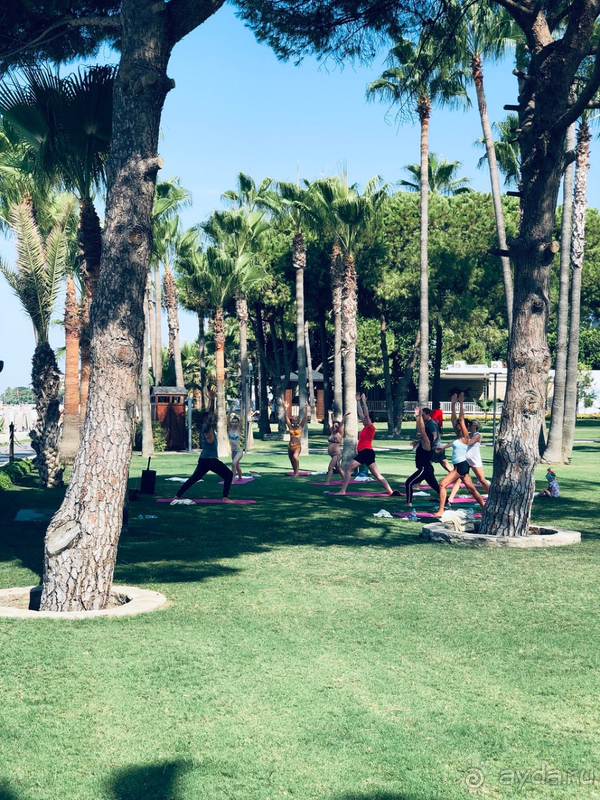 Отель европейского типа. Очень достойно! Рекомендуем!