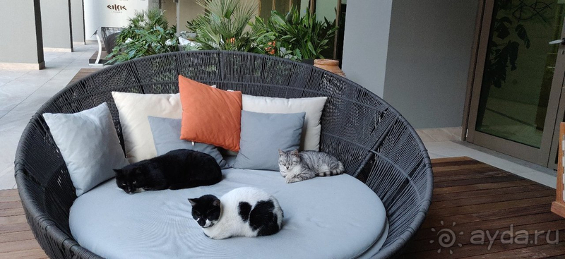 Потрясающий отель!