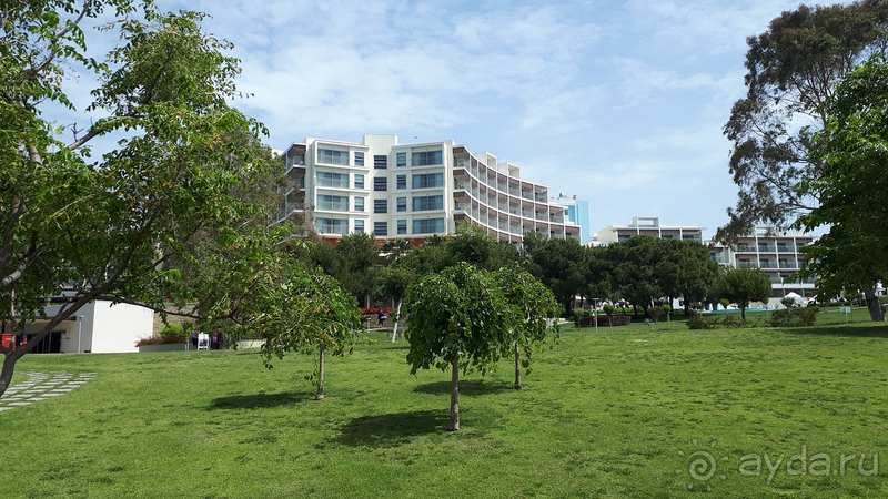 Современный элегантный отель с хорошим менеджментом