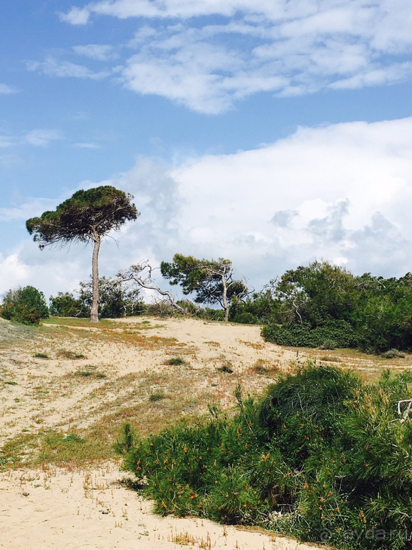 Далековато от городской жизни.