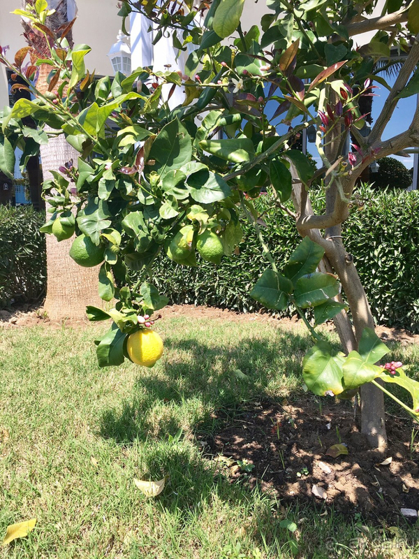 Далековато от городской жизни.