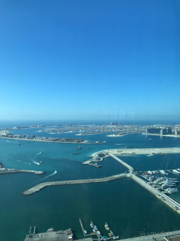 фото Dubai Marriott Harbour Hotel & Suites