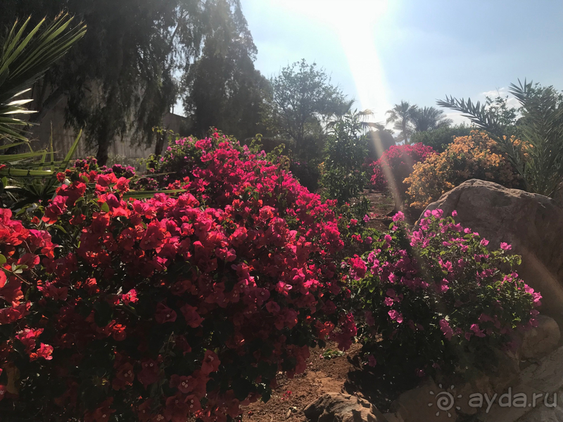 Отдых в Иордании