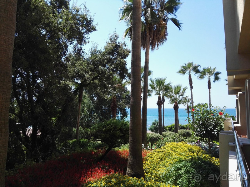 Тёплое море :) душевный отдых