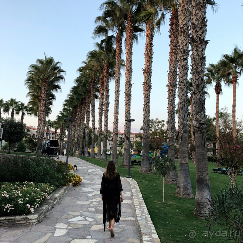 5 ПРИЧИН ВЫБРАТЬ Barut Arum