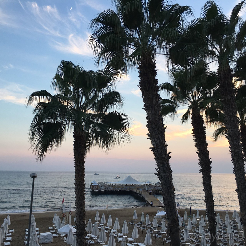 5 ПРИЧИН ВЫБРАТЬ Barut Arum