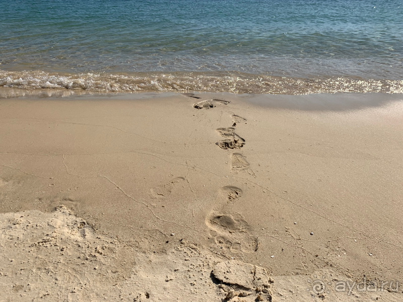 Мы оплатили проживание с посещением парка - нам говорили, что у нас парк не включён.