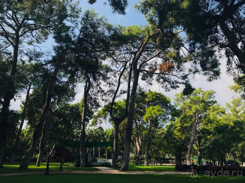 Замечательный отдых.