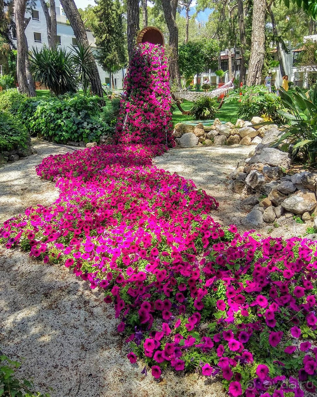 Полюбили этот отель