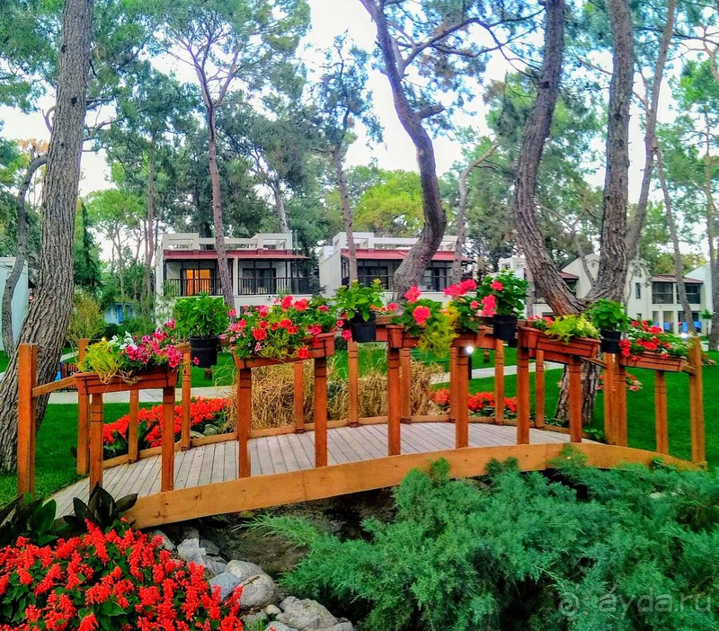 Полюбили этот отель