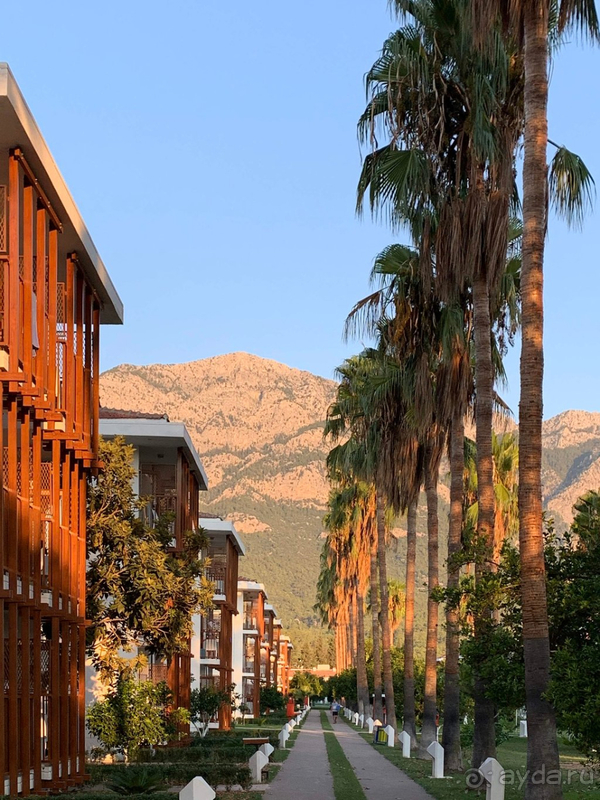 80% русских туристов