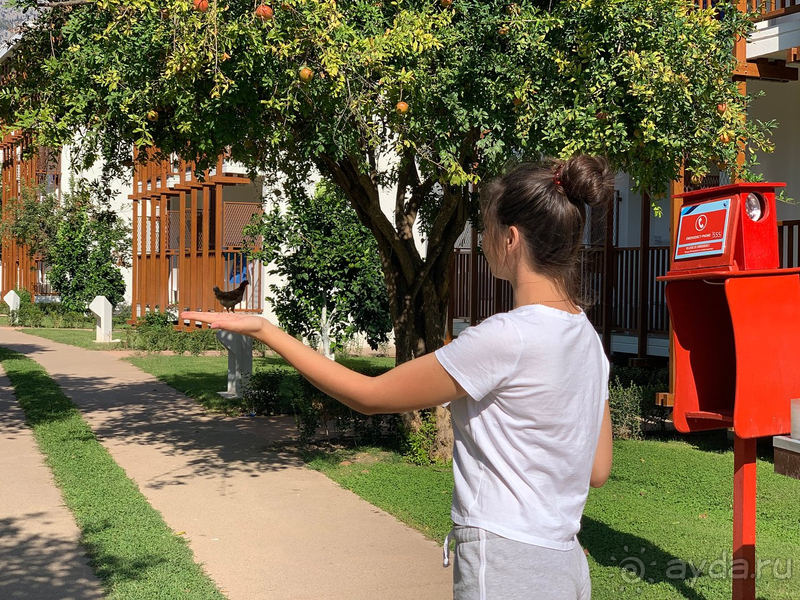 80% русских туристов