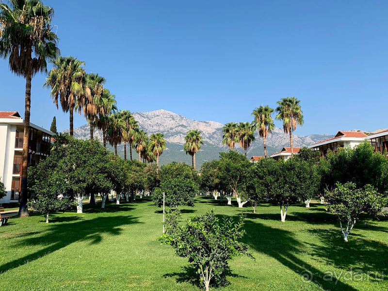 80% русских туристов