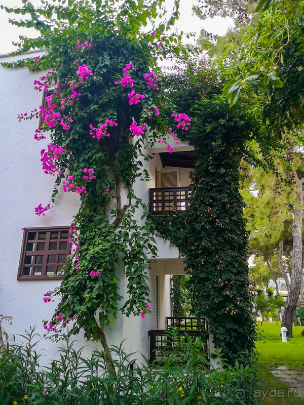 Лучший отдых в Simena