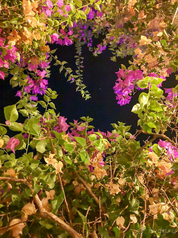 Лучший отдых в Simena