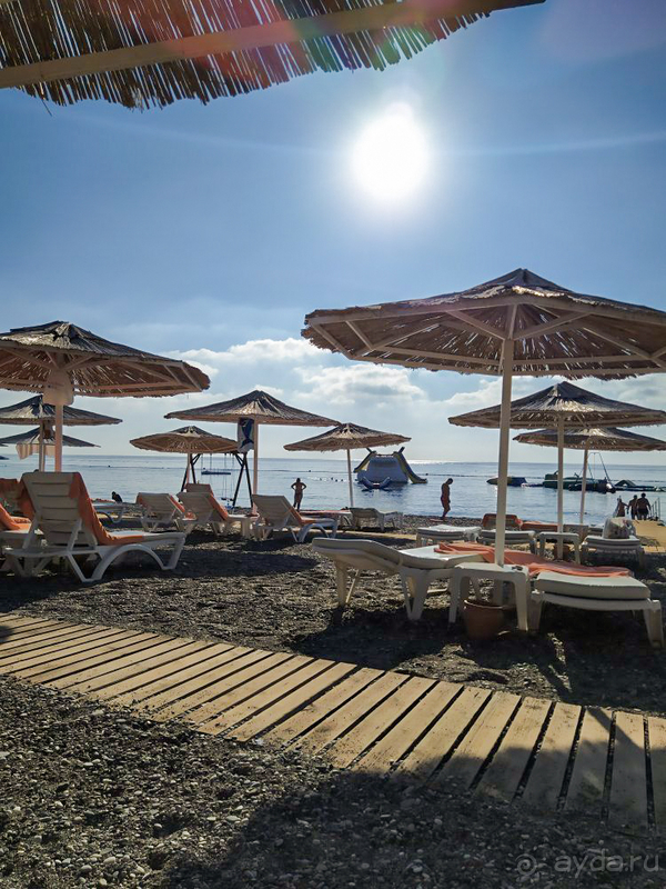 Отдых для "тюленей" 😄