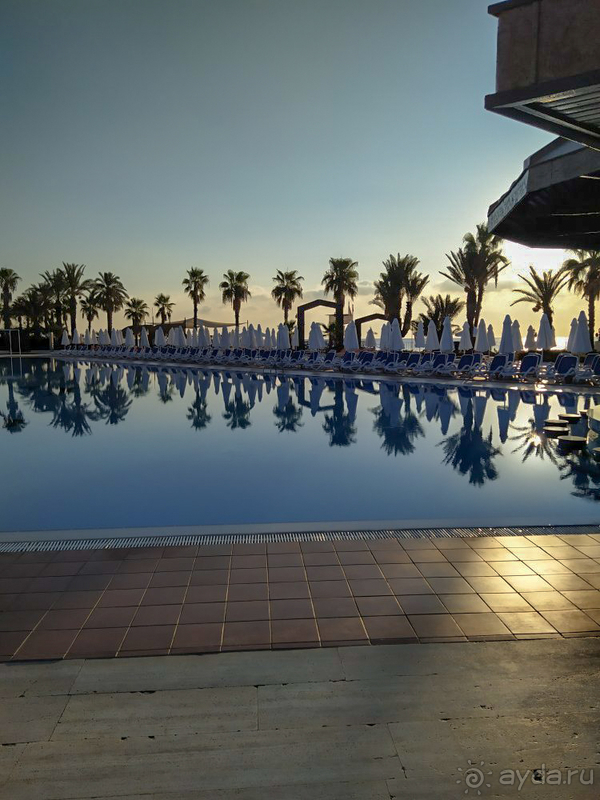 Отдых для "тюленей" 😄