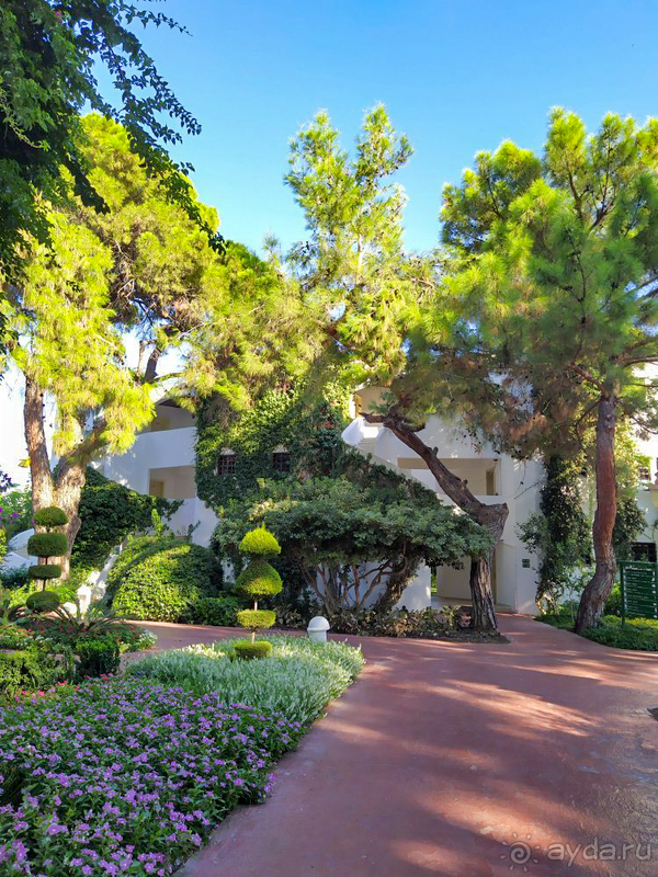 Отдых для "тюленей" 😄