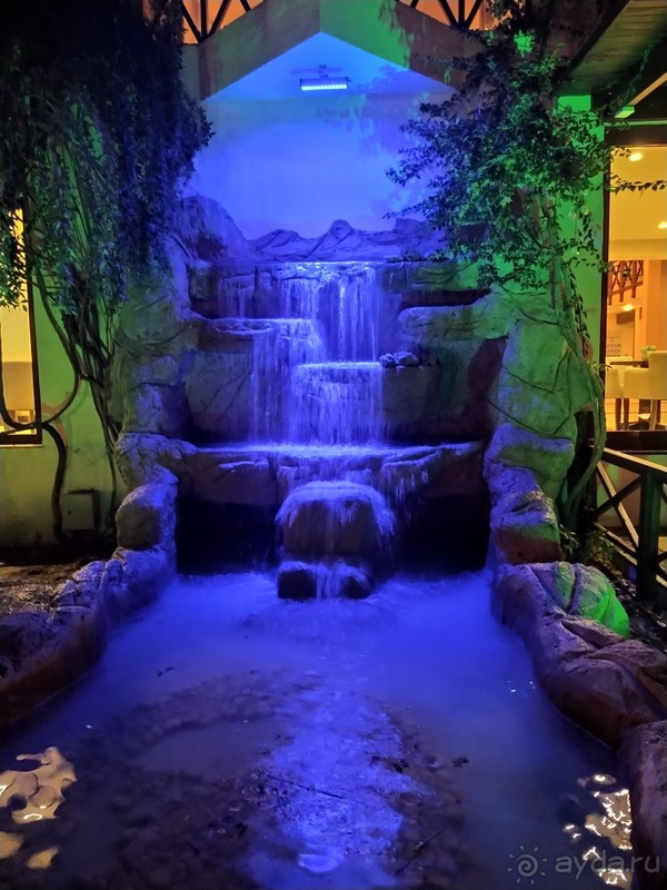 Отдых для "тюленей" 😄