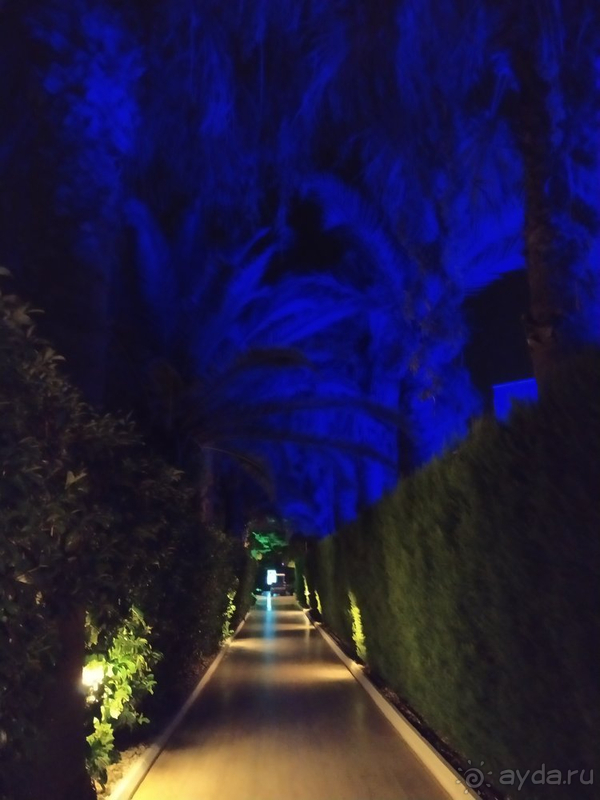 Отдых для "тюленей" 😄