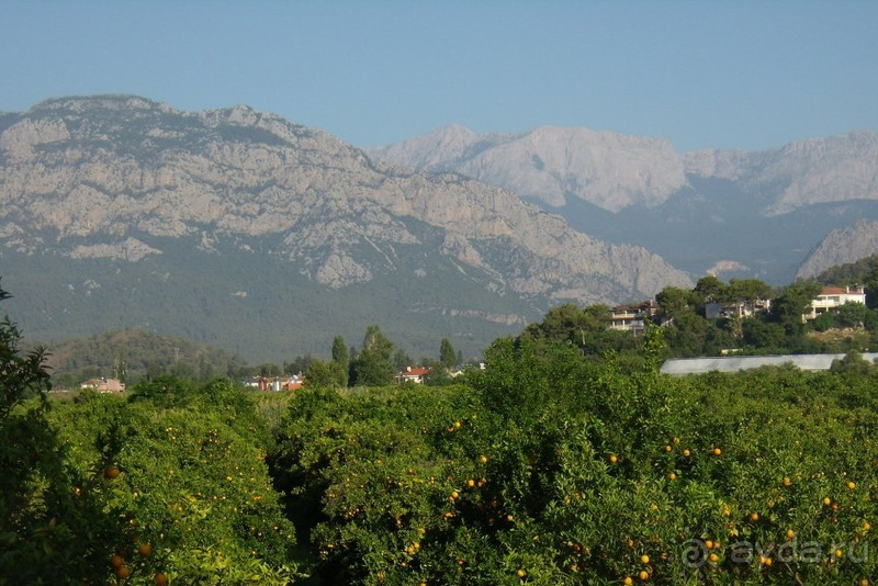 Отличнейший отель!