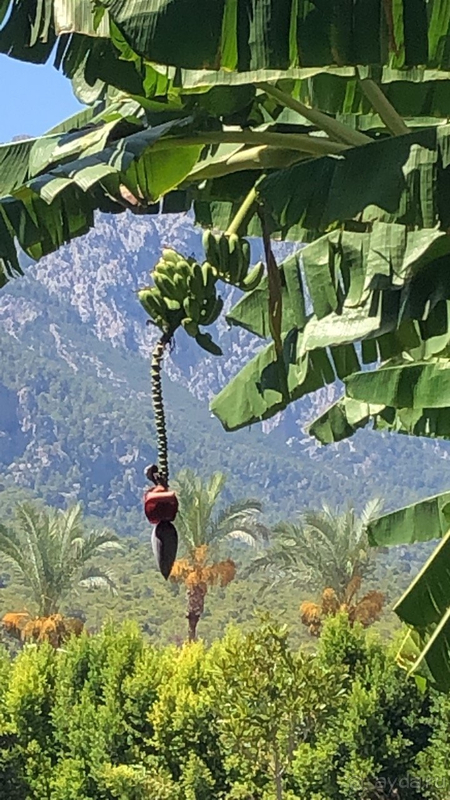 Однозначно этот отель запомнится!