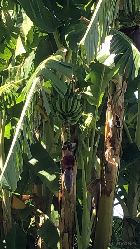 Однозначно этот отель запомнится!