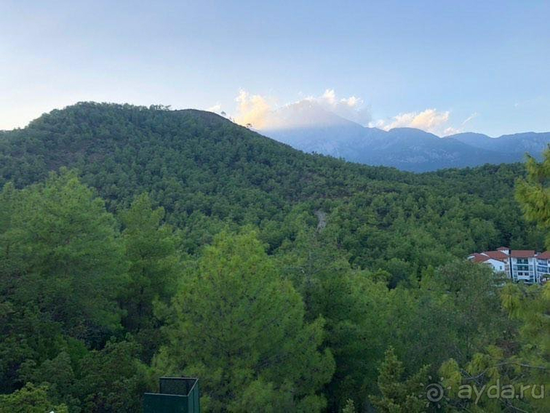 Welcome to paradise!