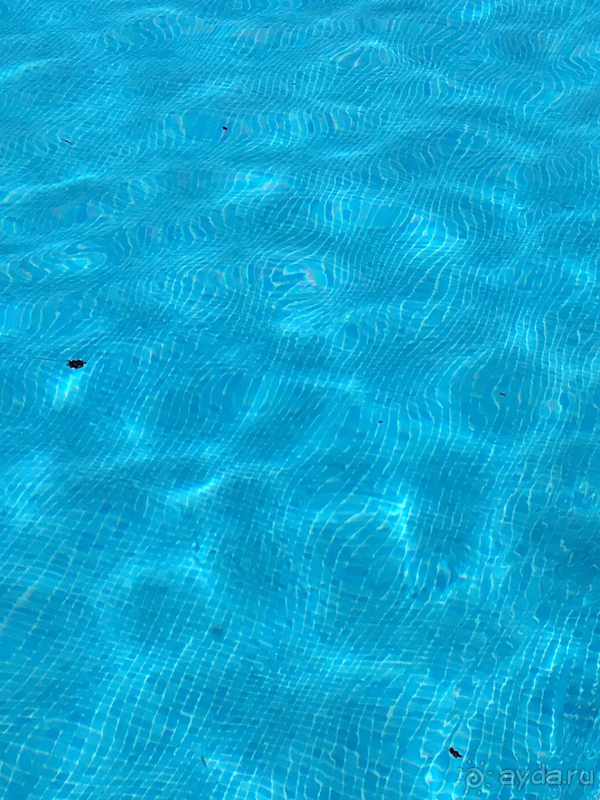 Отличное место, но реализация на нуле.