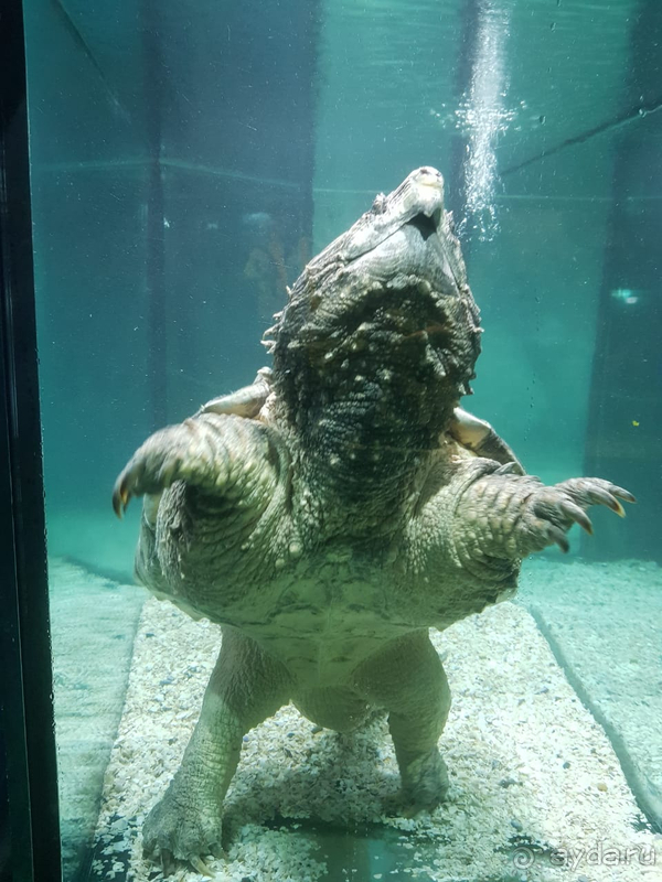 Март в Алуште