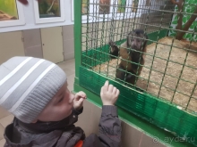 Март в Алуште