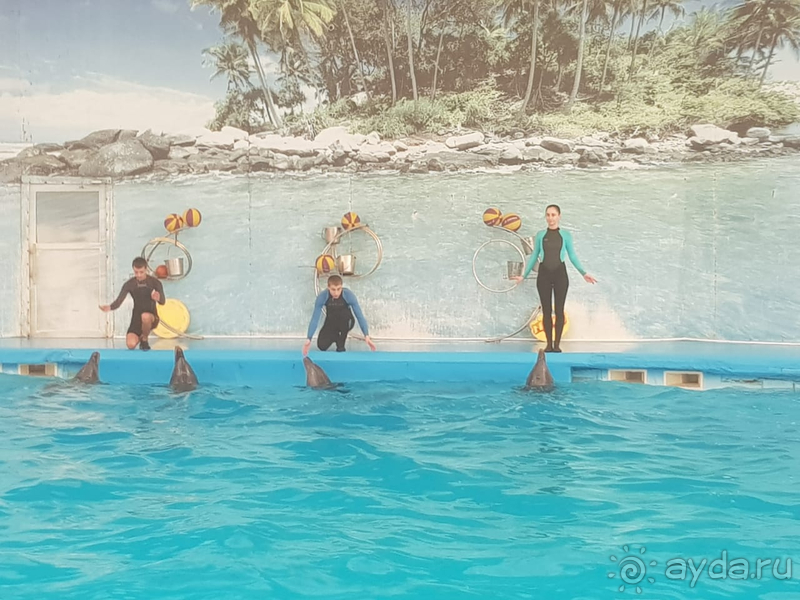 Март в Алуште