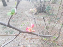 Санаторий-гостиница «Славутич»