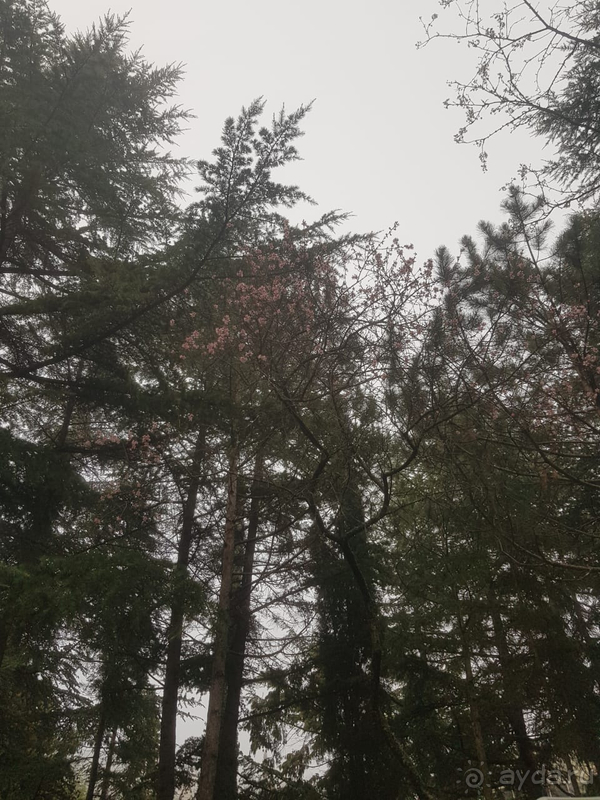 Санаторий-гостиница «Славутич»