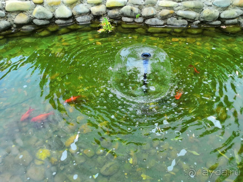 Отличный отдых 