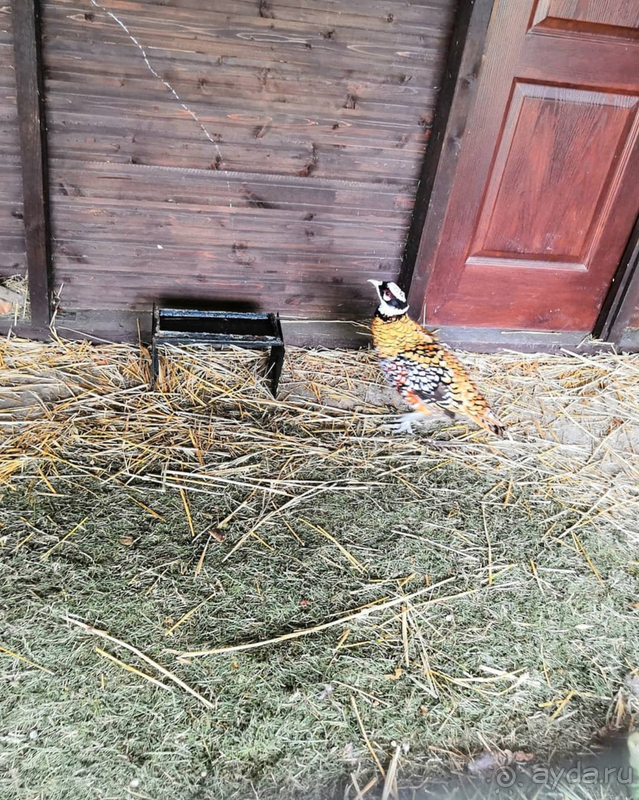 Отличный отдых 