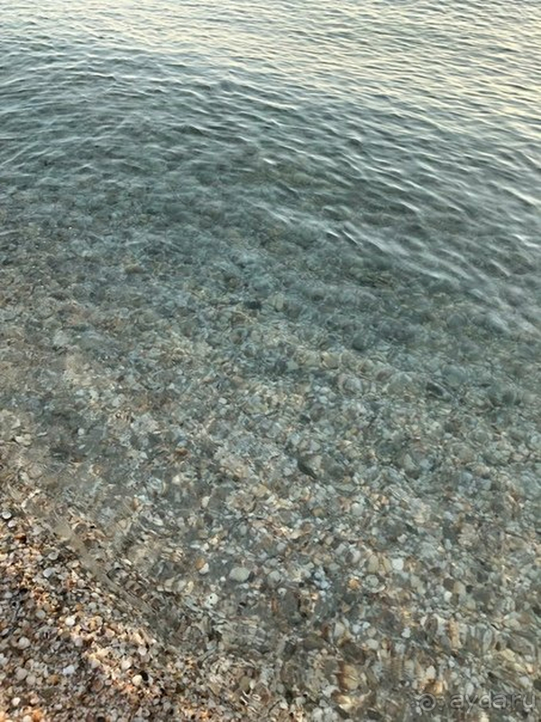 Хороший отель.