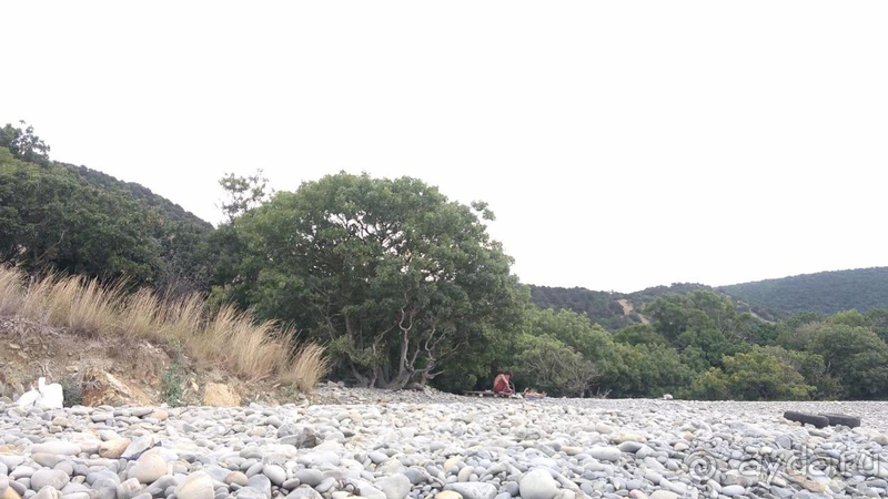 Отличный отель для отдыха с маленькими детьми 