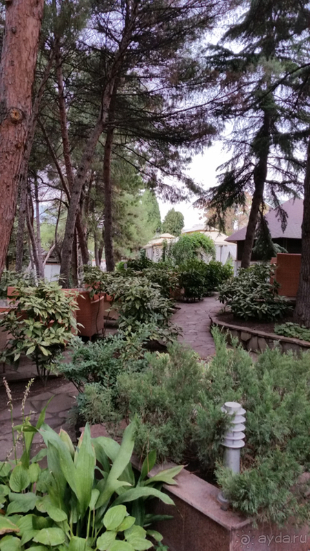 Прекрасный отель для отдыха с малышами