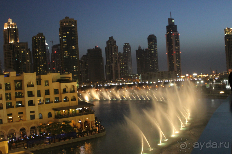 Шикарный отдых в Delta Hotel by Marriott Jumeiran Beach