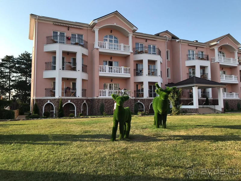 Получили больше, чем ожидали.